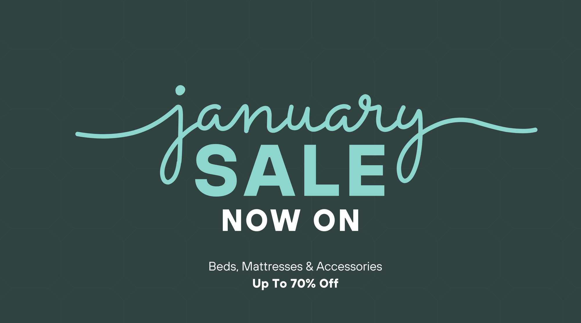 January Sale now on banner text on dark green background